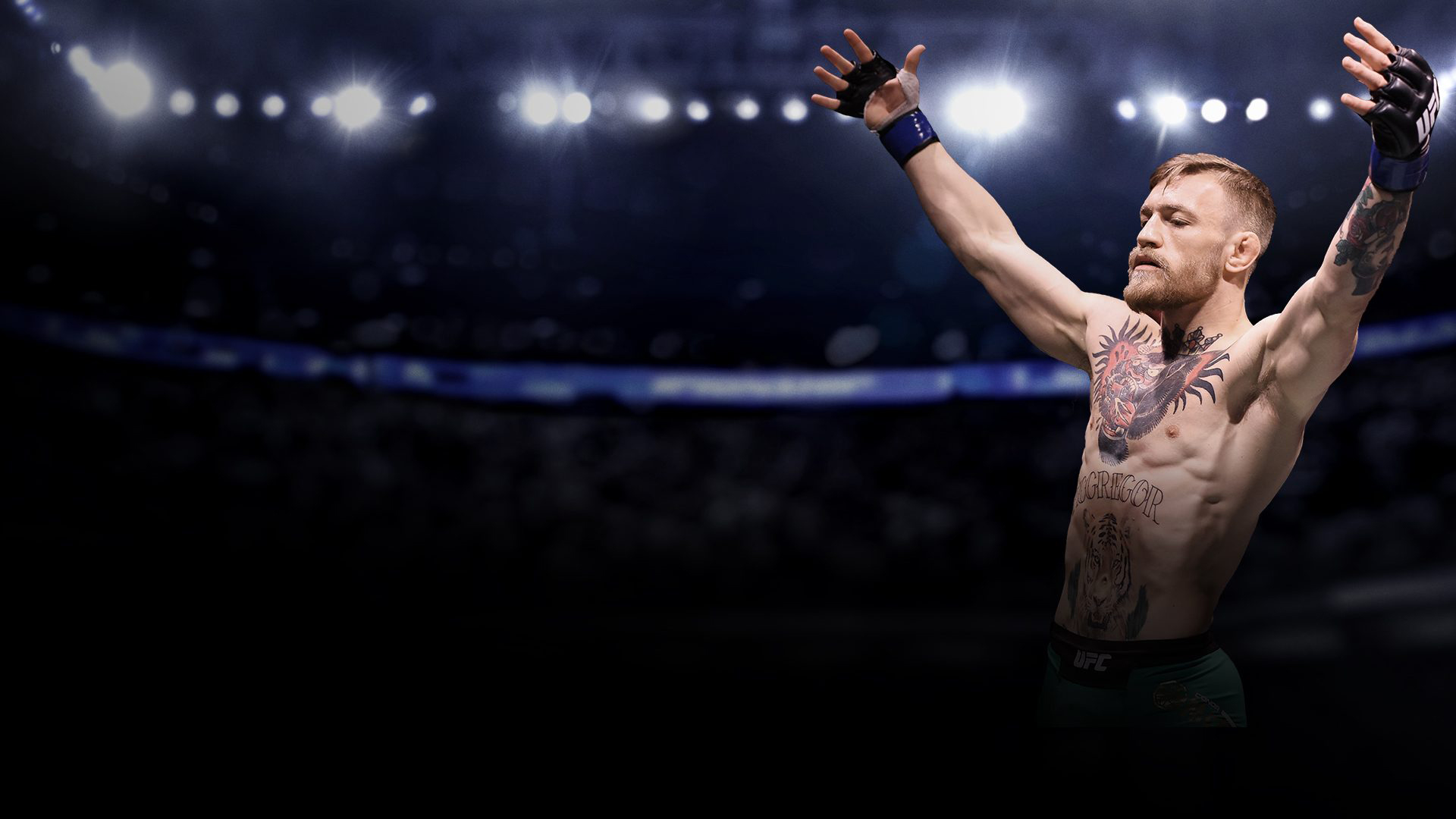 Conor McGregor wallpaper hd 