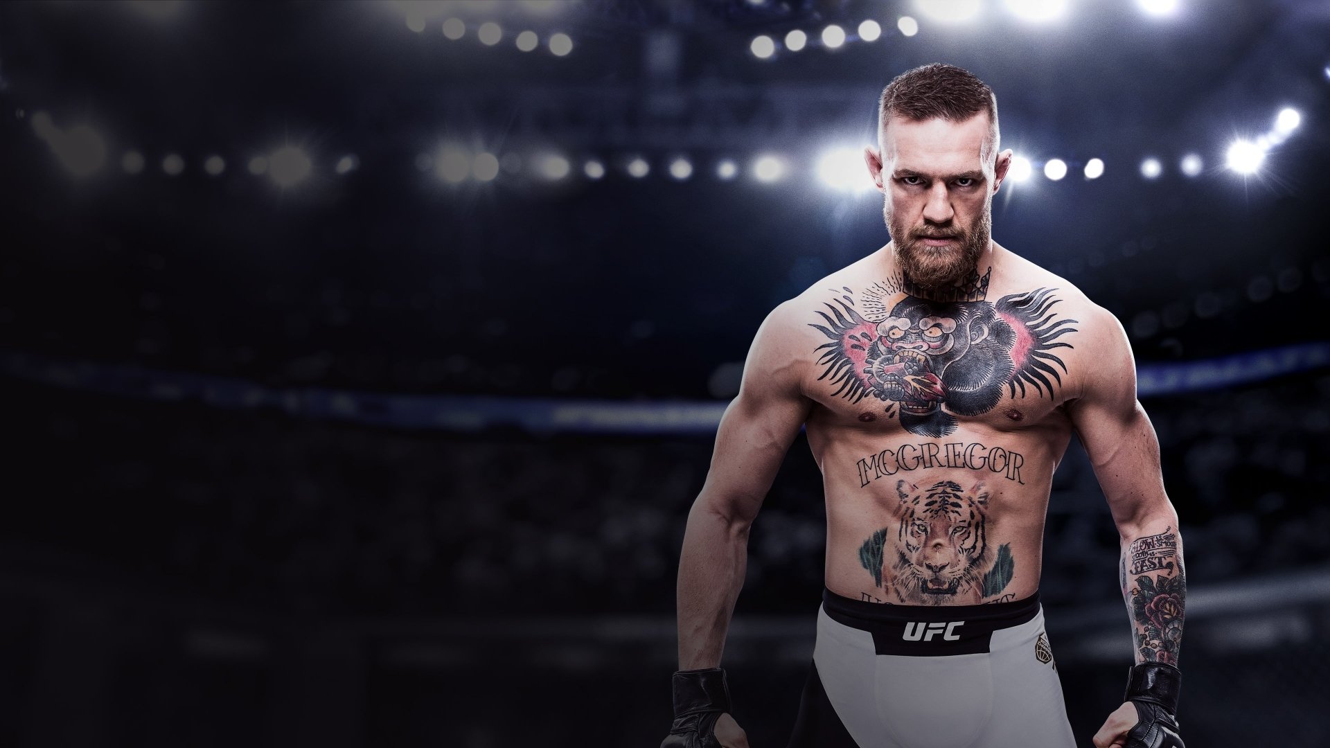 Conor McGregor wallpaper