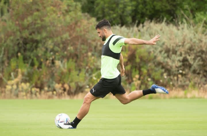 عملکرد مهرداد محمدی در تیم ایران عملکرد مهرداد محمدی در تیم ایران