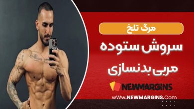 سروش ستوده مورد حمله سارقان زورگیر