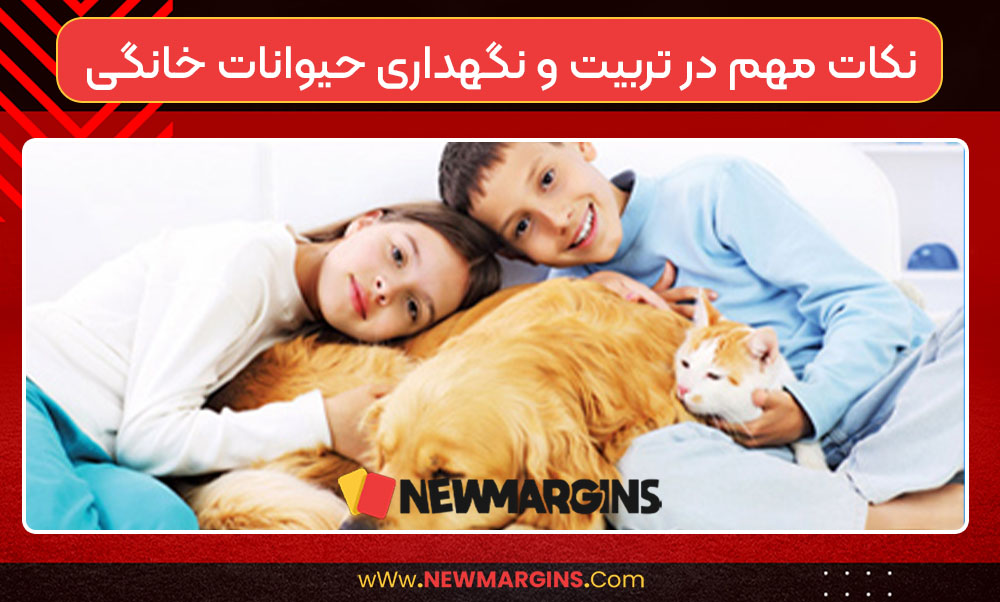 نکات مهم در تربیت و نگهداری حیوانات خانگی