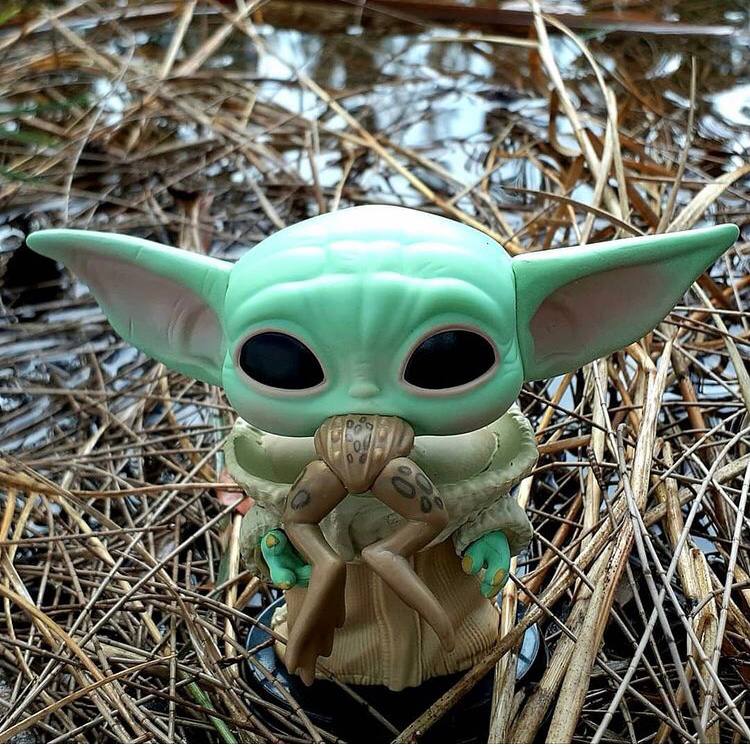 بیبی یودا و تاثیرش در فرهنگ پاپ