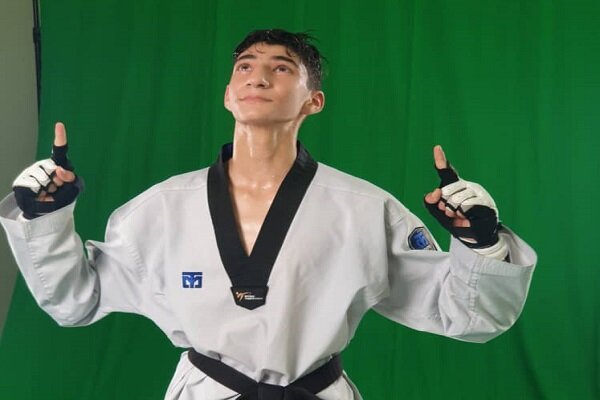 بیوگرافی مهدی رزمیان