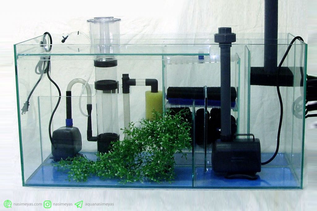 تفاوت تجهیزات آکواریومهای آب شور و آب شیرین تفاوت تجهیزات آکواریومهای آب شور و آب شیرین