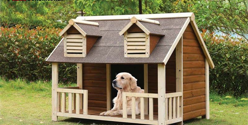 محل نگهداری حیوان خانگی در خانه و باغ محل نگهداری حیوان خانگی در خانه و باغ