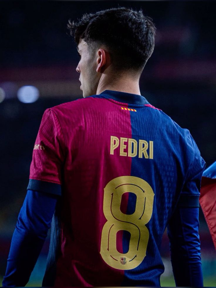 پدری گونزالس شماره 8 پدری گونزالس شماره 8