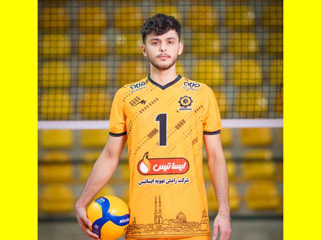 ائلشن داوودی پور والپیپر