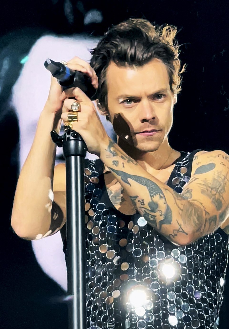 Harry Styles خواننده و بلاگر