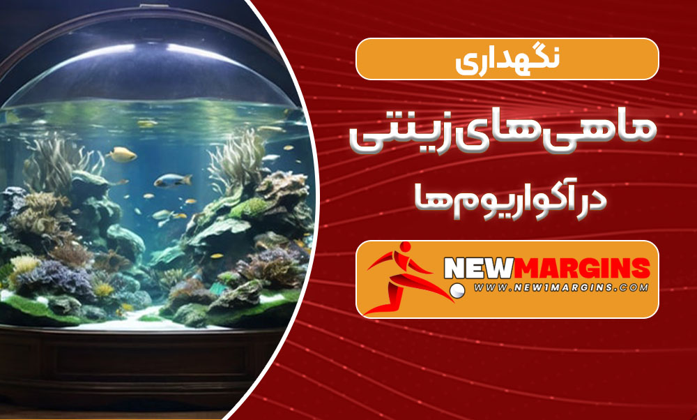 نگهداری ماهی‌های زینتی در آکواریوم‌ها 