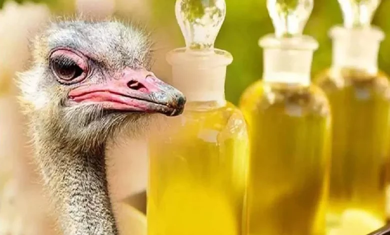 روغن شترمرغ برای پوست و مو روغن شترمرغ برای پوست و مو