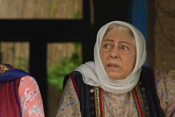 سریالهای تلویزیونی قاسمی قدیمی سریالهای تلویزیونی قاسمی قدیمی