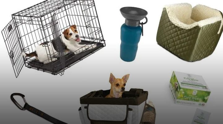 وسایل برای نگهداری و مراقبت از حیوانات خانگی وسایل برای نگهداری و مراقبت از حیوانات خانگی