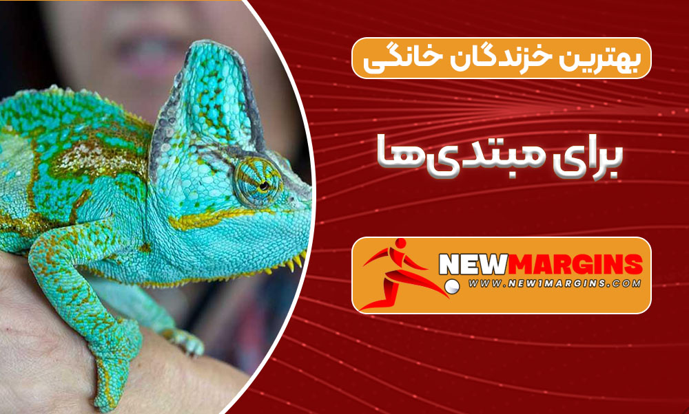 بهترین خزندگان خانگی برای مبتدی‌ها