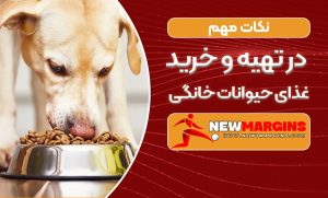 نکات مهم در تهیه و خرید غذای حیوانات خانگی
