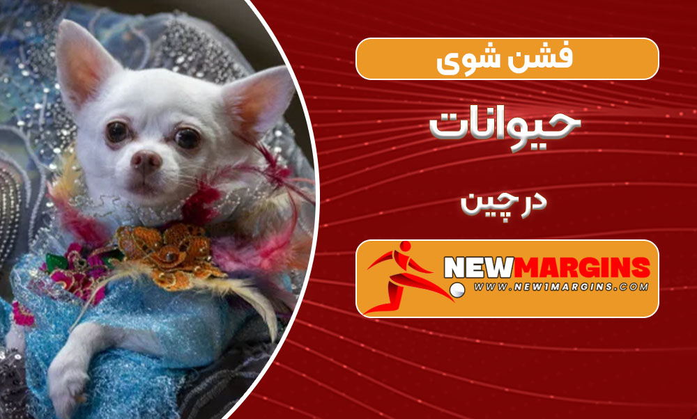 فشن شوی حیوانات در چین