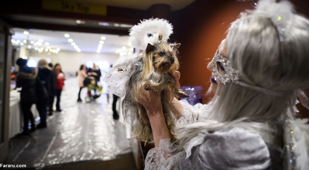 محل برگذاری فشن شوی حیوانات