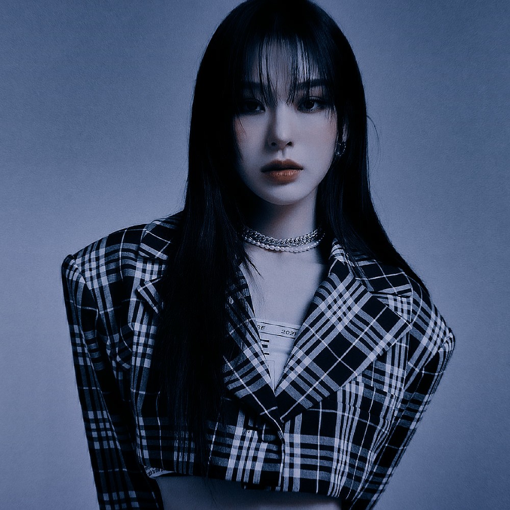 حادثه داخل کنسرت هیونا